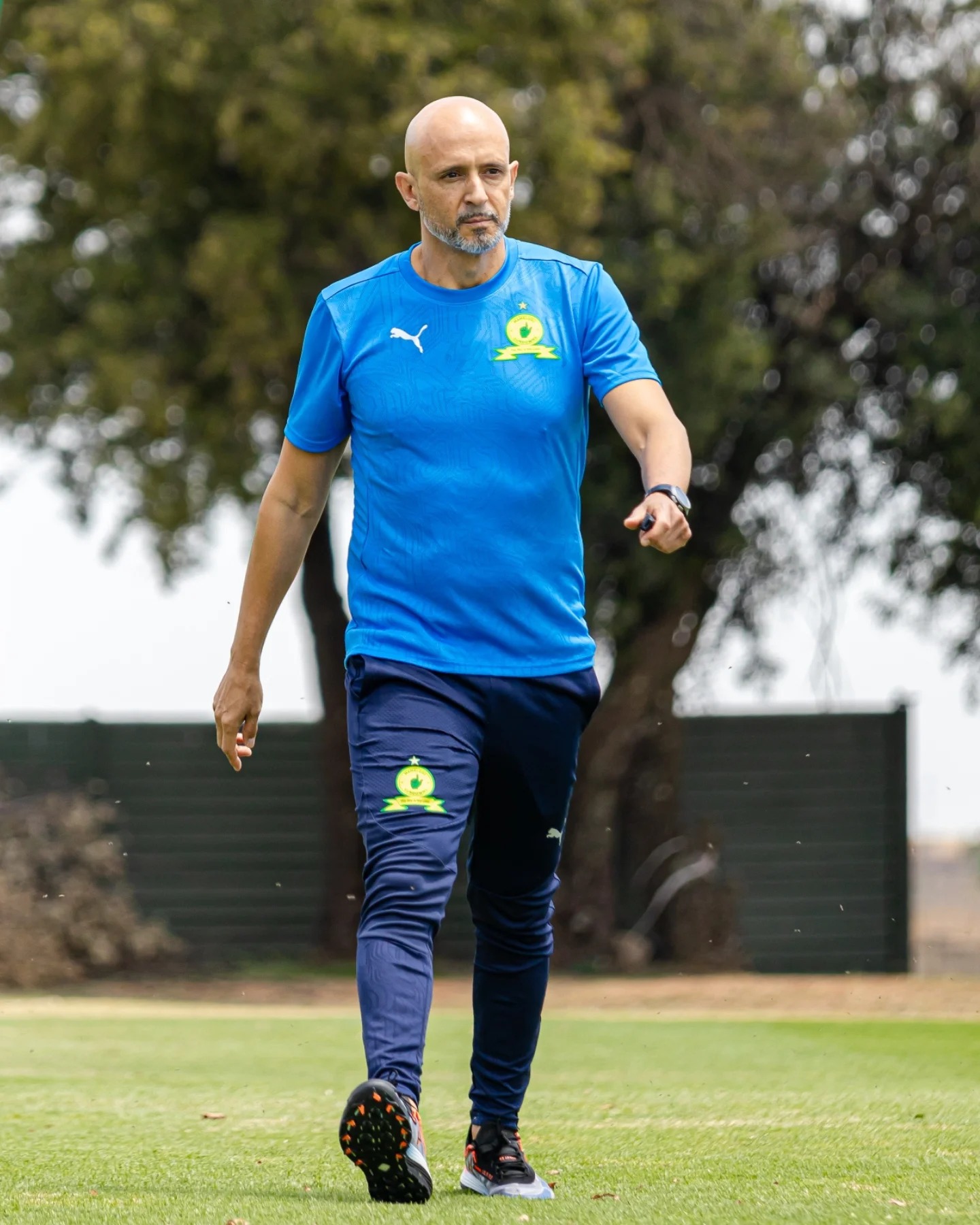 Miguel Cardoso: What I told Sundowns players at half-time