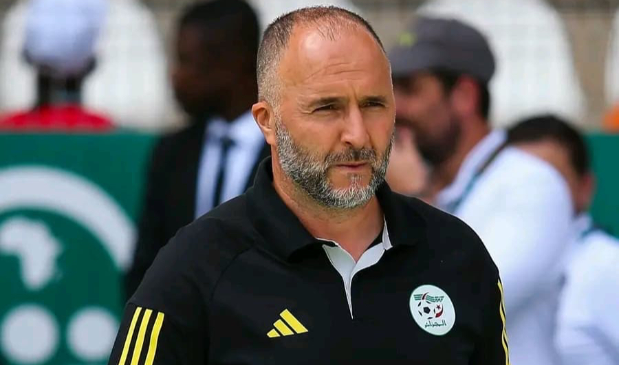 Belmadi and Algerian Federation yet to resolve contract dispute