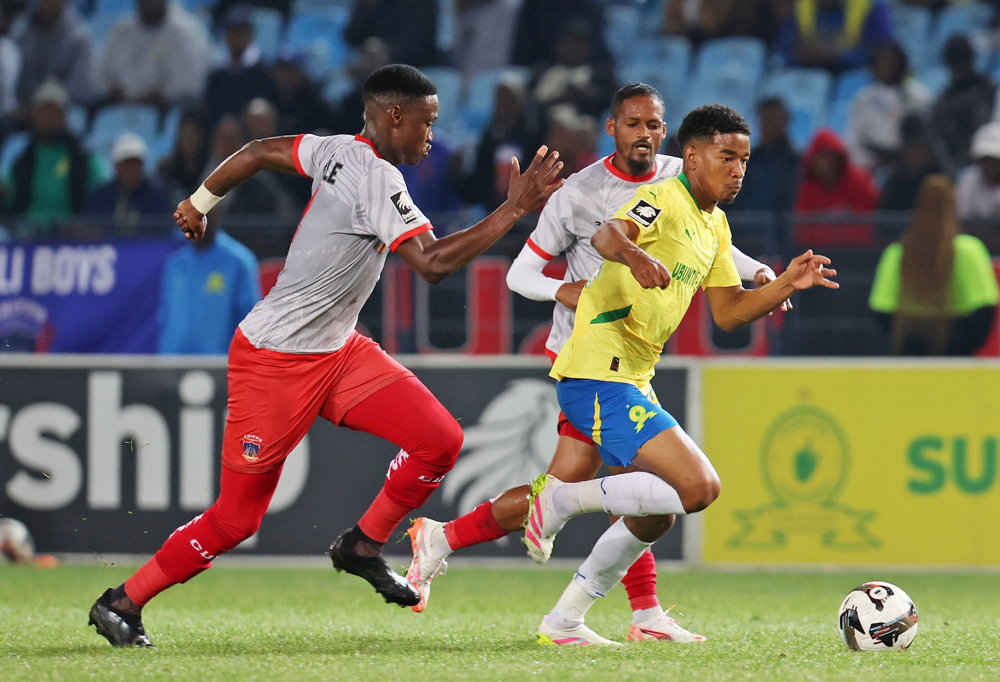 Mamelodi Sundowns anxious to seal Betway Premiership title – Miguel Cardoso