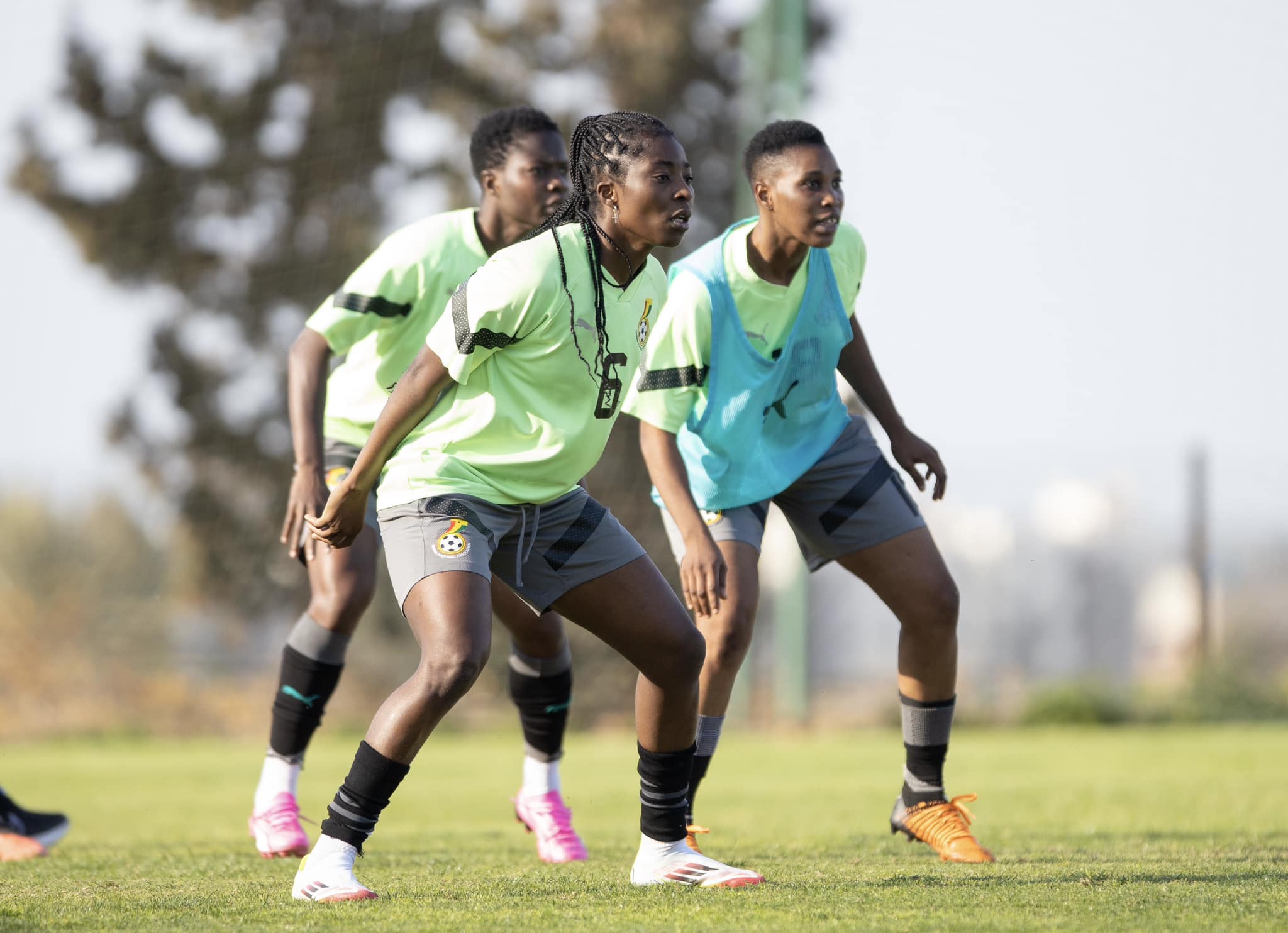 Kim Lars Bjorkegren: Black Queens coach opens up on Morocco friendly