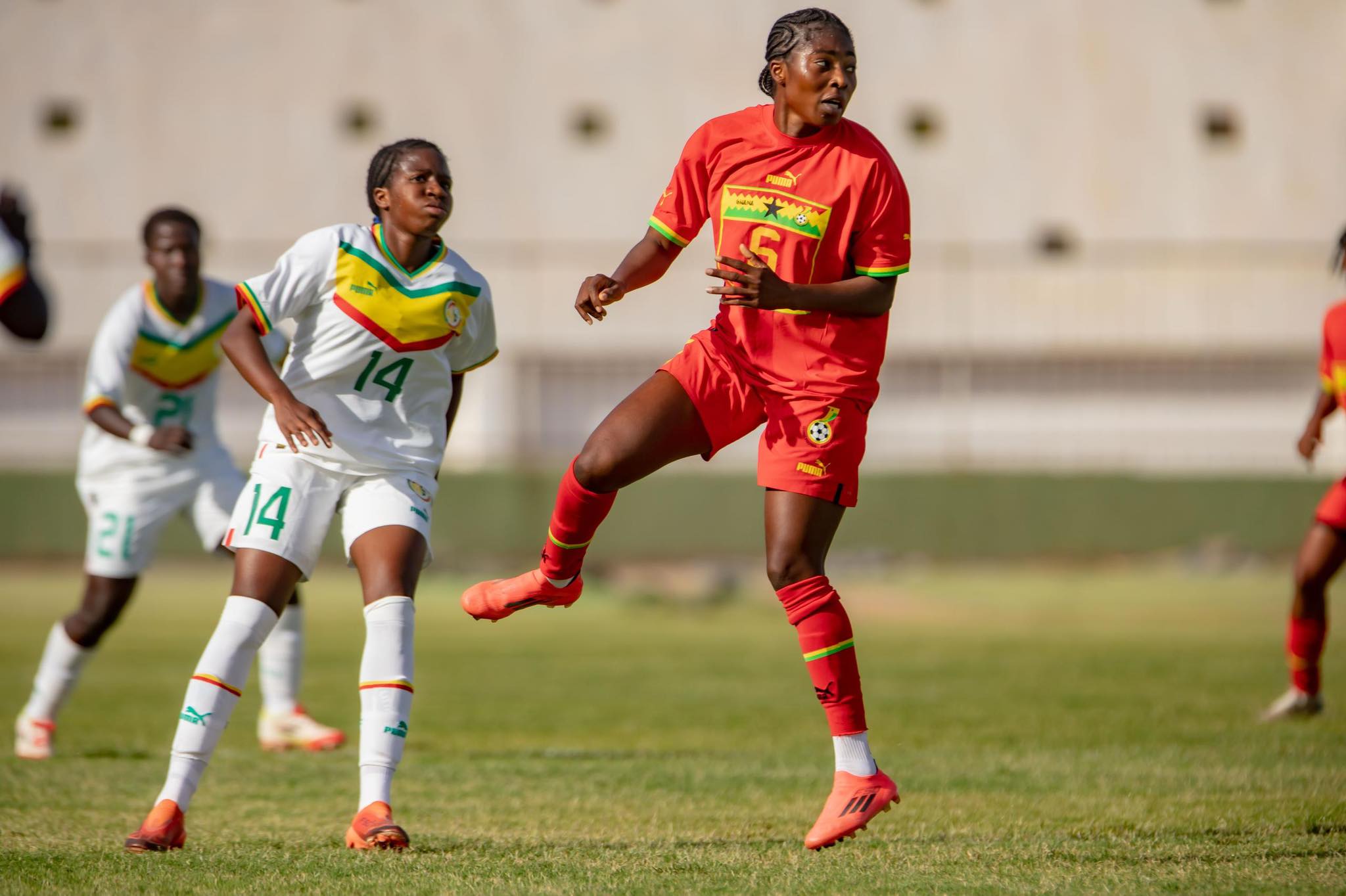 International friendly: “Black Queens were better than Senegal” – Björkegren