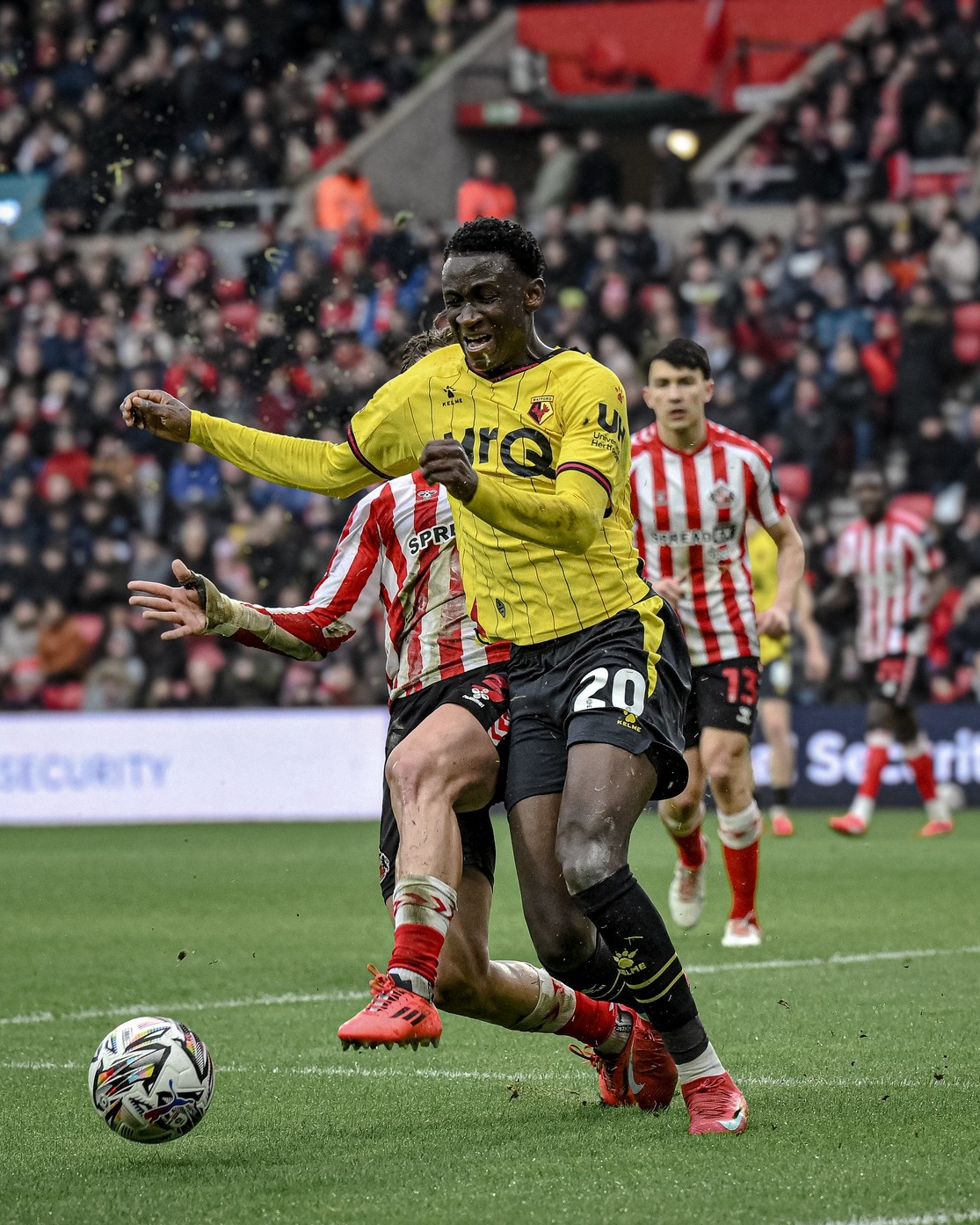 Watford coach Cleverly salutes Malian youngster after Sunderland draw