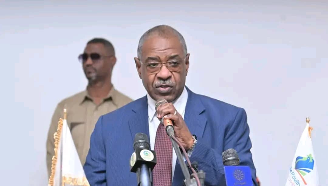 Mutasim Jaafar re-elected as Sudan FA president amidst civil war