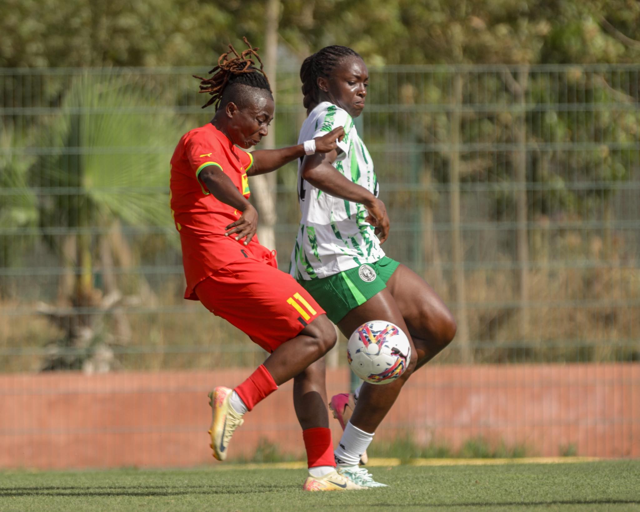 WAFCON 2024: “Ghana must work hard to qualify from Group C” – Appiah-Gyapong