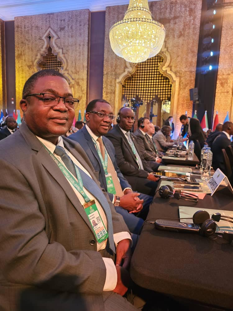 FIFA issues another warning against interference in Zambia FA polls