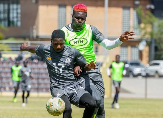 CHAN: Zambia have got what it takes to go all the way – Mfune