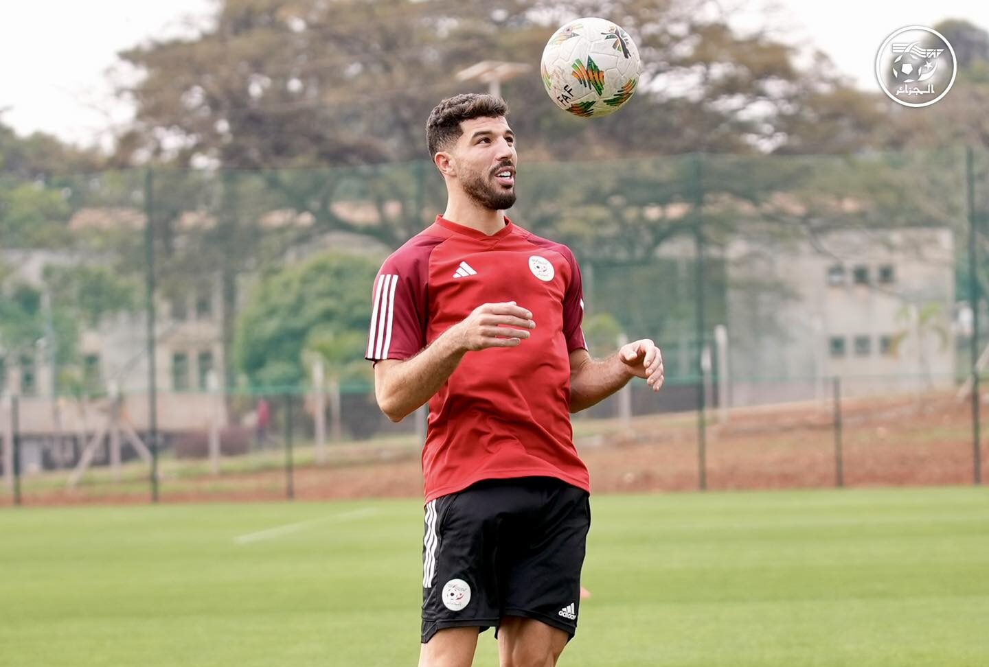 Mahious backs Algeria for CHAN title: ‘This is our time to win it’