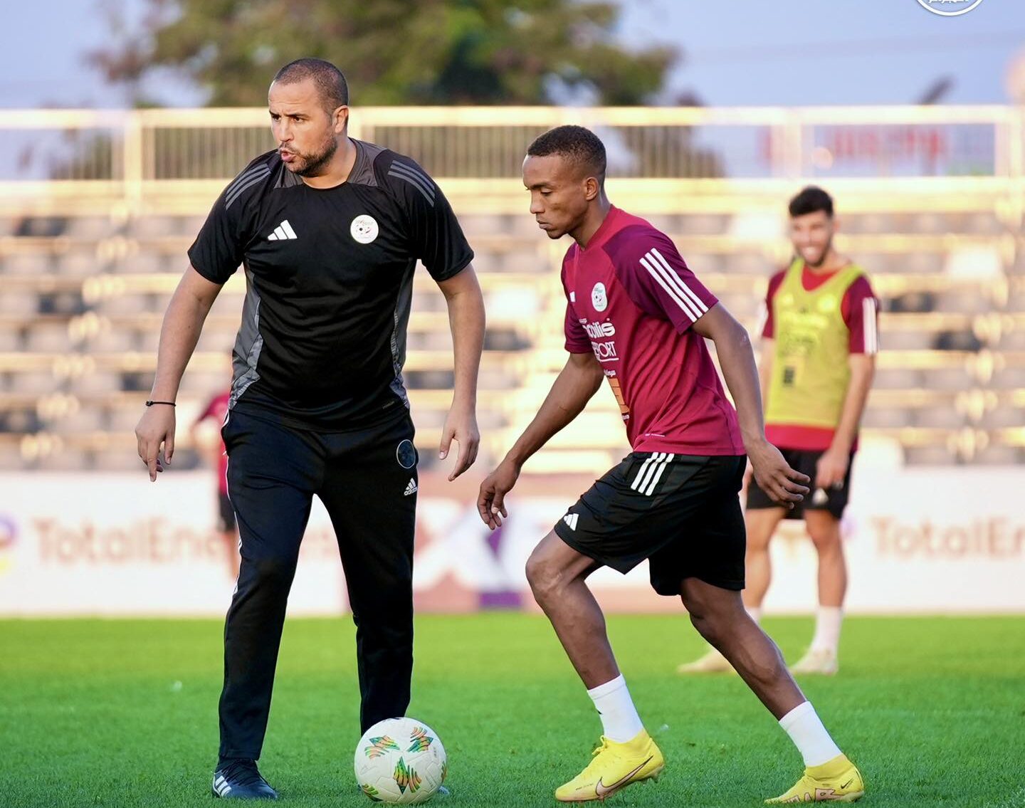 CHAN: Algeria head coach Madjid Bougherra upbeat about lifting trophy