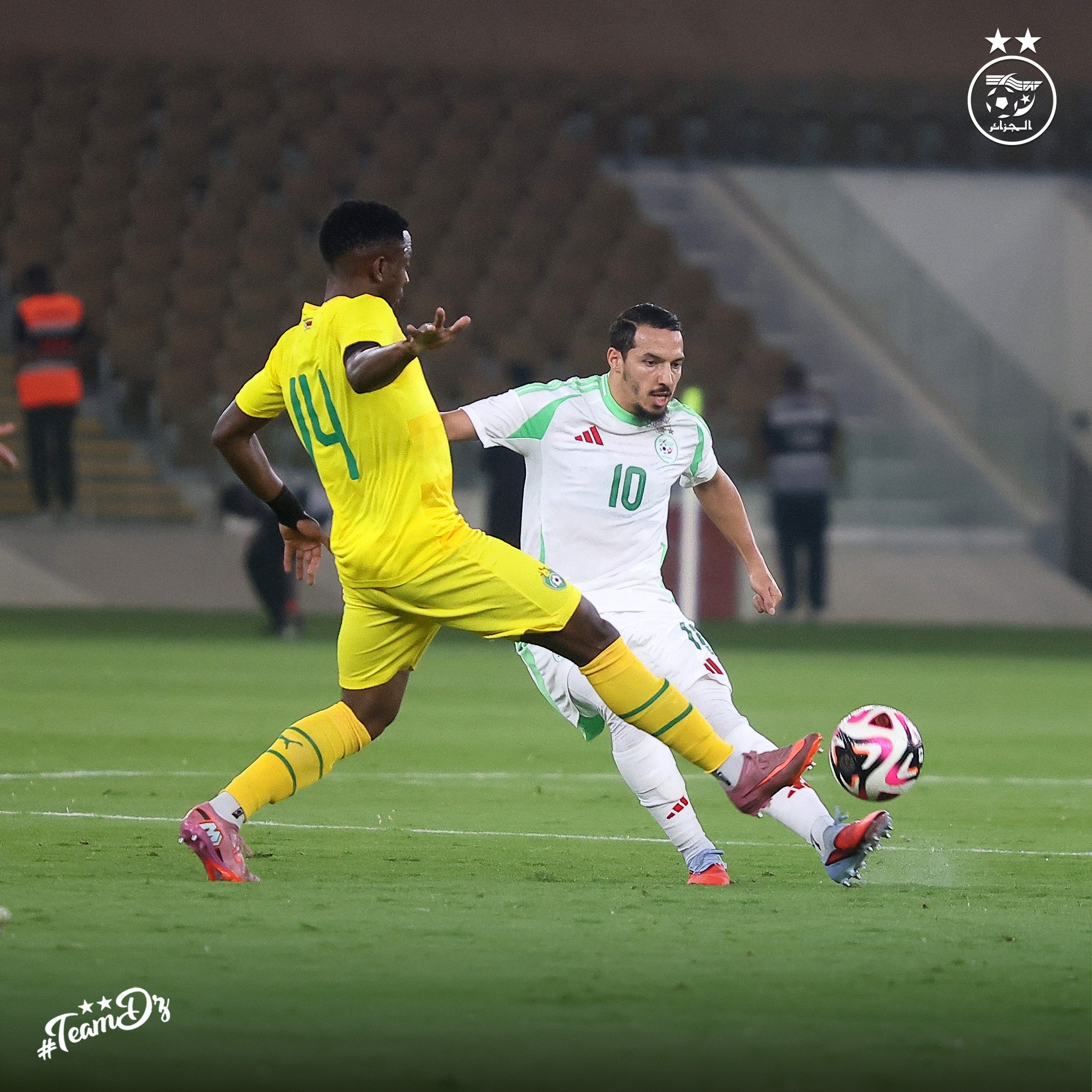 Zimbabwe fall 3-1 to Algeria in Marinica’s first game