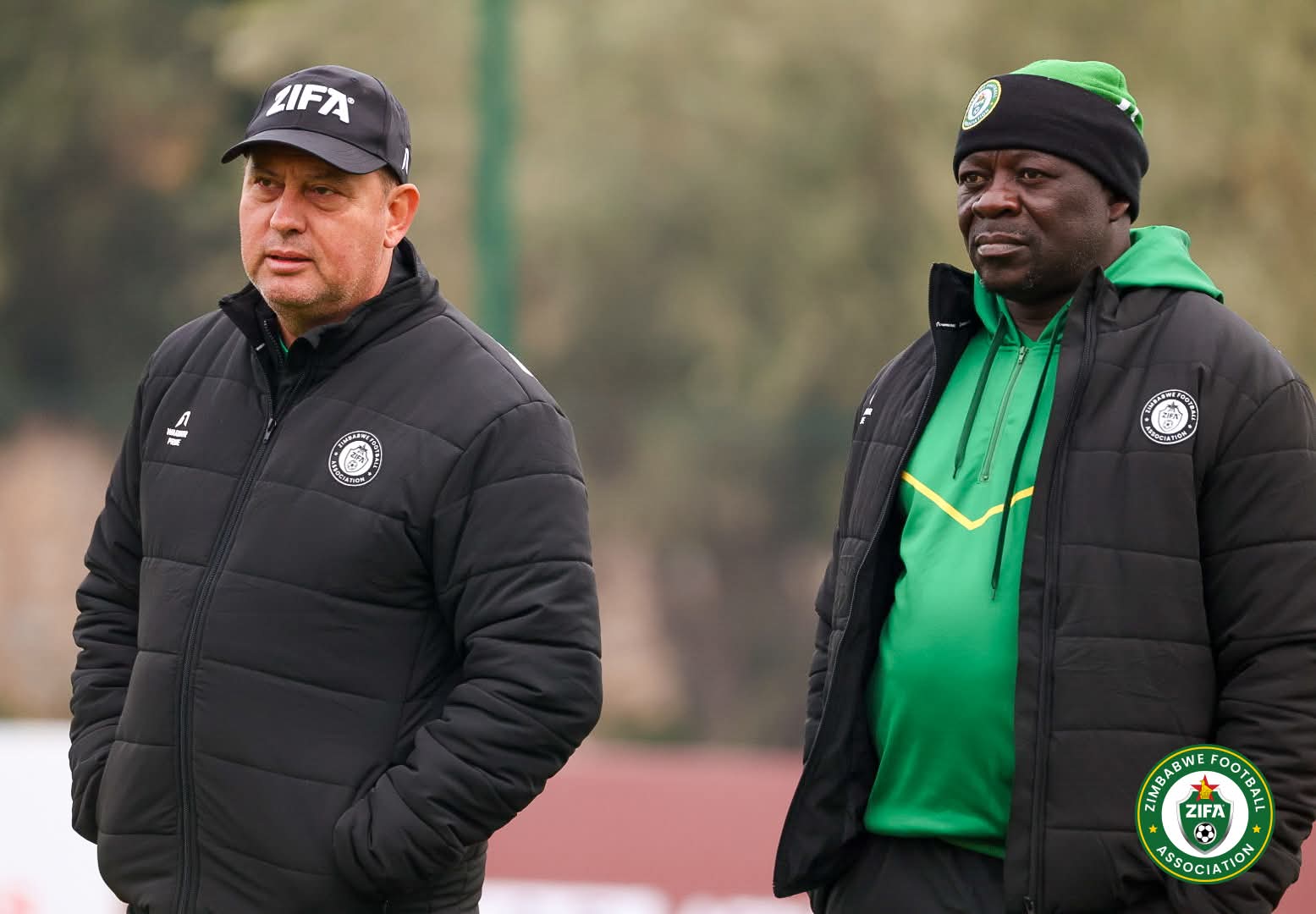 AFCON: Marinica after Zimbabwe’s loss to Egypt: ‘We shouted in changing room’