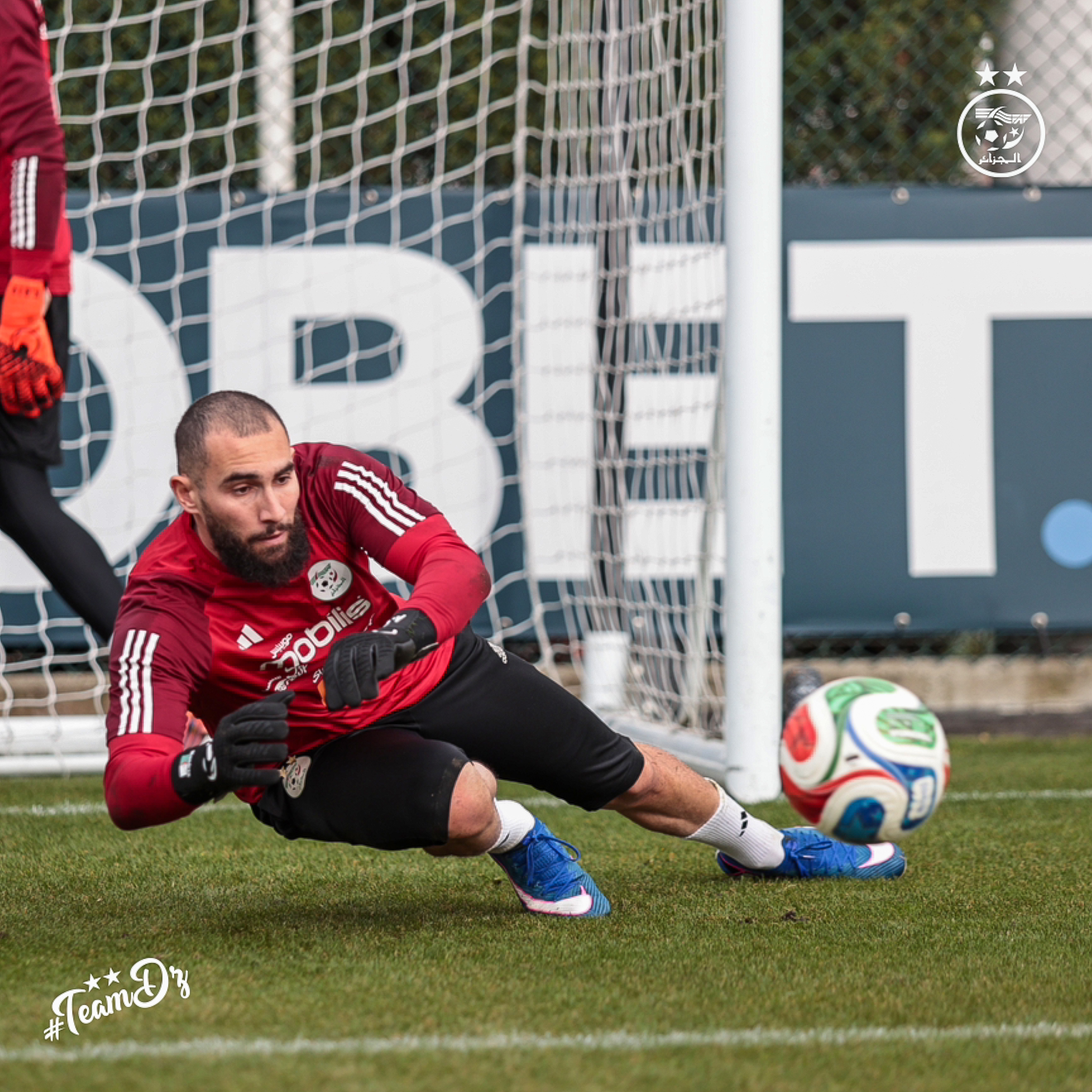 Algeria goalkeeper suffers shoulder injury blow ahead of World Cup